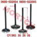 Inlet/Exhaust Valve