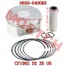 Piston Assy