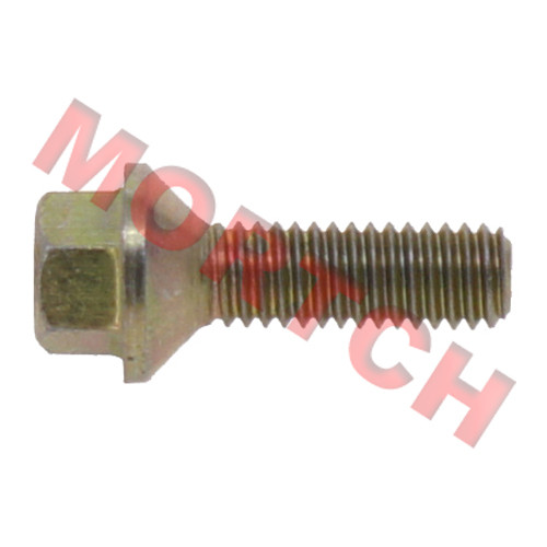 Screw M6x25