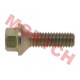 Screw M6X25