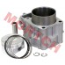 Cylinder Assy