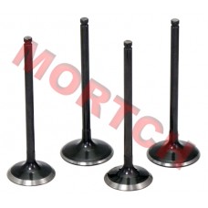 Inlet/Exhaust Valve