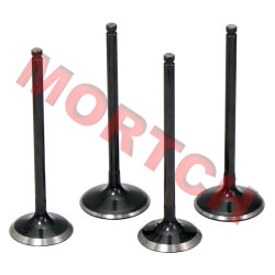 Inlet/Exhaust Valve Inlet/Exhaust Valve