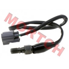 Rear Brake Switch