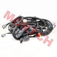 Main Cable