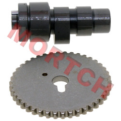 Rear Cylinder Camshaft