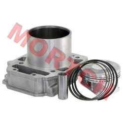 Cylinder Assy
