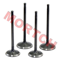 Intake & Exhaust Valve