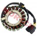 18 Pole Stator Coil