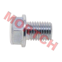 Drain Screw Plug