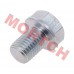Drain Screw Plug