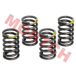 Valve Spring