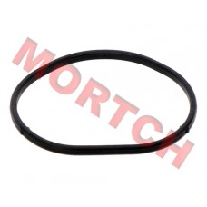 Seal Ring, Manifold