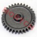 Middle Gear