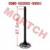 Air Intake / Exhaust Valve