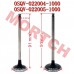 Air Intake / Exhaust Valve