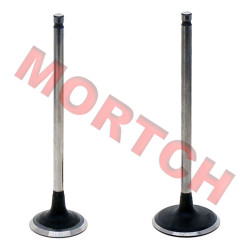 Air Intake / Exhaust Valve