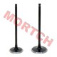Air Intake / Exhaust Valve