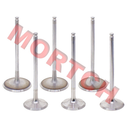 Air Intake / Exhaust Valve