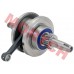 CG Crankshaft Assy