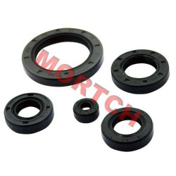 CG Full Set of Oil Seal