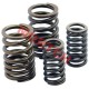 CG Spring of Valve