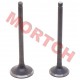 JNen 180cc Inlet/Exhaust Valve