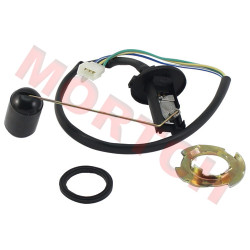 CF250 Fuel Sensor