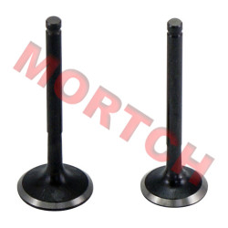 GY6 125cc Inlet/Exhaust Valve