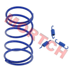 GY6 50cc Performance Clutch Spring Blue