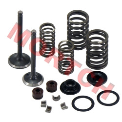 GY6 125cc Inlet/Exhaust Valve Assy