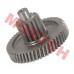 GY6 50cc Central Gear
