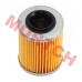Hisun 800 1000 Oil Filter