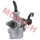 C100 Carburetor PZ19