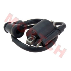 C100 Ignition Coil Assy