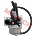 C100 Carburetor PZ19