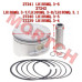 Linhai 400cc LH180 Piston Assy Linhai 400cc LH180 Piston Assy