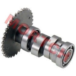 WH 125cc 150cc Camshaft assy