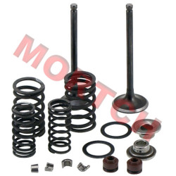 WH 125cc/150cc Inlet/Exhaust Valve Assy