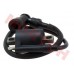 YP100 Ignition Coil + Cap Spark Plug