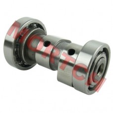 YP100 Camshaft Assy