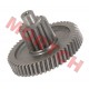 YP100 Central Gear