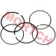 YP100 Piston Ring