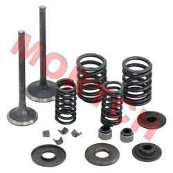 Linhai 250 260 300 520 Inlet/Exhaust Valve Sets