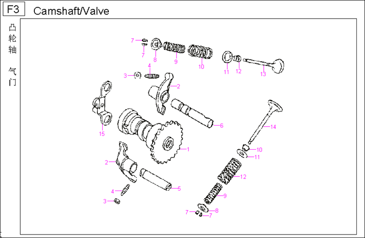 Camshaft & Valve