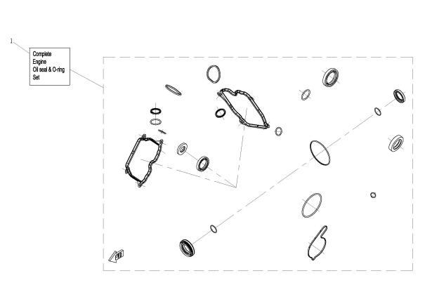 COMPLETE OIL SEAL & O-RING SET, ENGINE